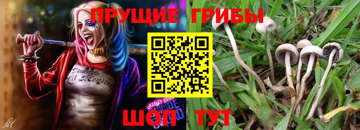 Галлюциногенные грибы мицелий  Вход с VPN  Юрга 